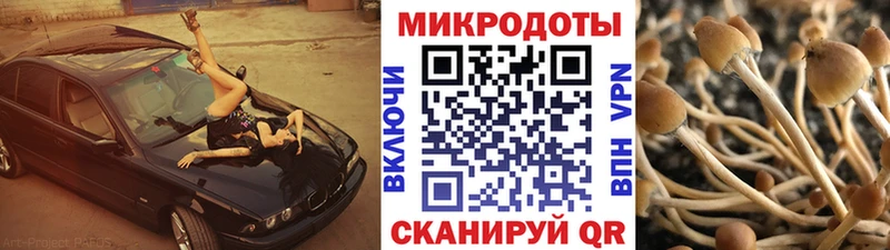 Галлюциногенные грибы мухоморы  наркошоп  Элиста 