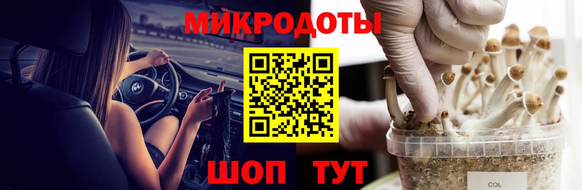 Галлюциногенные грибы мухоморы  Вход с VPN  купить наркотик  Элиста 